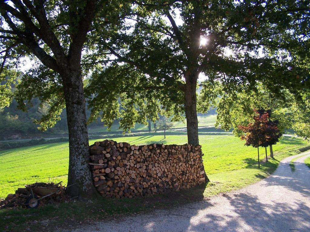 Agriturismo Fontandrone Villa Pieve Santo Stefano Exterior photo
